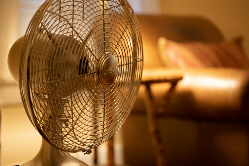 “Podría ser fatal”: los médicos advierten sobre el uso de ventiladores con personas mayores en climas secos y cálidos