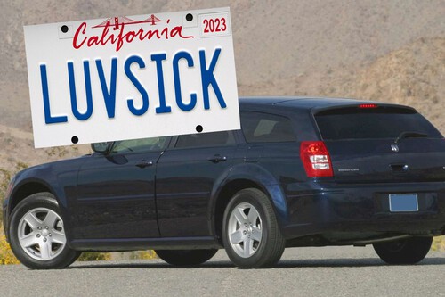 Luvsick Placa 1