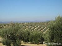 La mano de obra en agricultura: Viejos problemas sin solucionar 