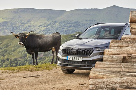 Skoda Karoq 2022 Prueba Contacto 99