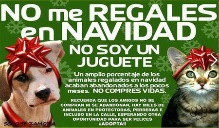 Los niños se concentran para cantar villancicos en defensa de los animales
