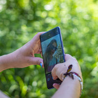 El 'boom' de la IA se está cobrando sus primeras víctimas en el móvil: desplome de Qualcomm y aviso de subida de precios inminente