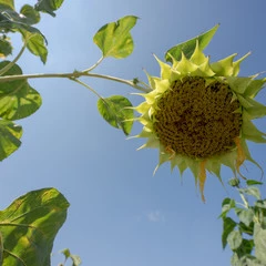 Foto 2 de 16 de la galería sigma-14-24mm-f2-8-dg-dn en Xataka Foto