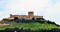Castillo de Peñafiel: historia y vino