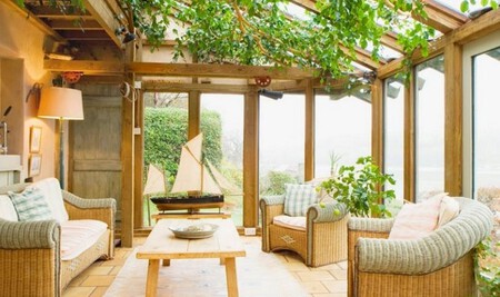 Plantas