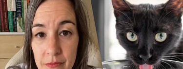 Neus Candela, veterinaria: "El pienso seco de los gatos apenas contiene humedad, así que aunque el animal beba de su cuenco con regularidad, esa cantidad de agua puede quedarse corta"
