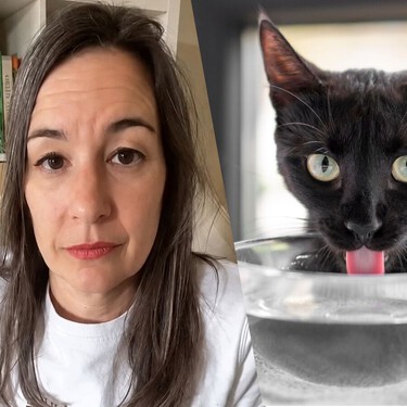 Neus Candela, veterinaria: "Un gato que come pienso seco y bebe agua con normalidad no está necesariamente bien hidratado" 