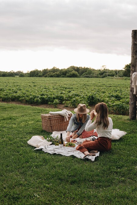Picnic Campo