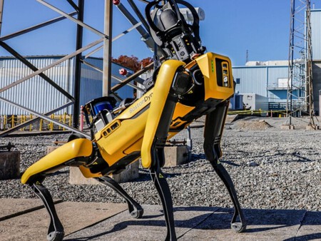 Roboperro Boston 1