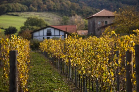 Vinedos De Hondarribi Zuri C Do Arabako Txakolina