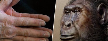 La paradoja de Kenia: acabamos de descubrir la primera mano "humana" data antes de que existieran los humanos
