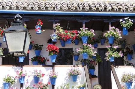 Los patios de Córdoba, Patrimonio Inmaterial de la Humanidad 