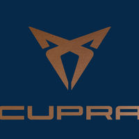 Al final sí habrá un SEAT Ibiza Cupra y es justo lo que ves en las fotos