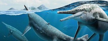 En 2009, un señor se tropezó con unos huesos en una playa de Asturias: descubrió sin saberlo a un reptil marino con forma de delfín
