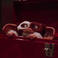 'Gremlins 3' al fin recibe luz verde. Steven Spielberg y Chris Columbus capitanearán la película 35 años después de 'La nueva generación'  