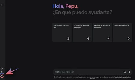 ジェミニのアクティビティ