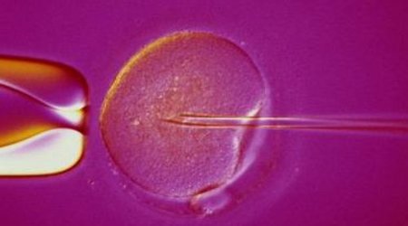 La ansiedad y la depresión no afectarían al éxito de la fertilización in vitro