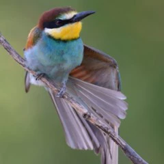 Foto 3 de 6 de la galería de-15-a-17-anos en Xataka Foto