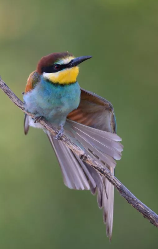 Foto de De 15 a 17 años (3/6)