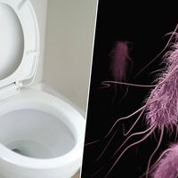 Passamos a vida inteira abaixando a tampa do vaso sanitário por questões de higiene, mas a ciência diz: não é suficiente 