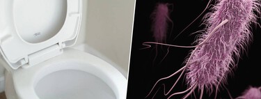 Passamos a vida inteira abaixando a tampa do vaso sanitário por questões de higiene, mas a ciência diz: não é suficiente 