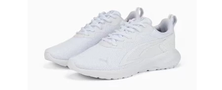 Puma3