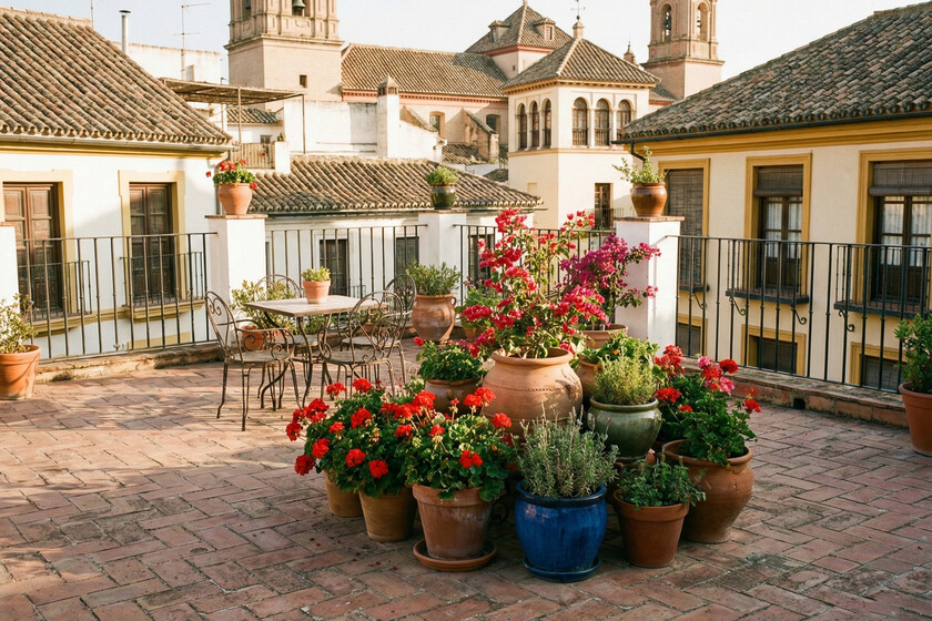 Terraza