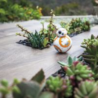 Robot electrónico Droide BB-8 Star Wars por 107 euros