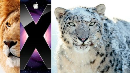 OS X Lion aumenta su cuota pero sigue por detrás de Leopard y Snow Leopard en popularidad