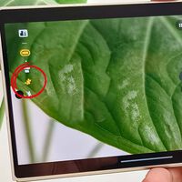 Tu Samsung Galaxy puede estabilizar tus videos mientras te mueves y solo necesitas activar este botón 