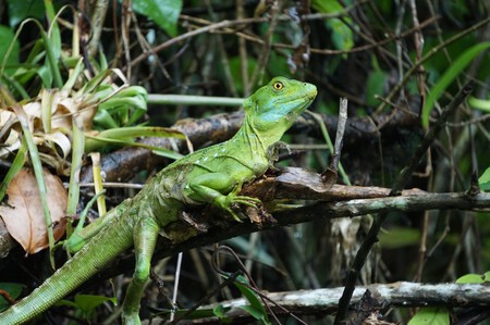 Costa Rica Anabel Palomares 14