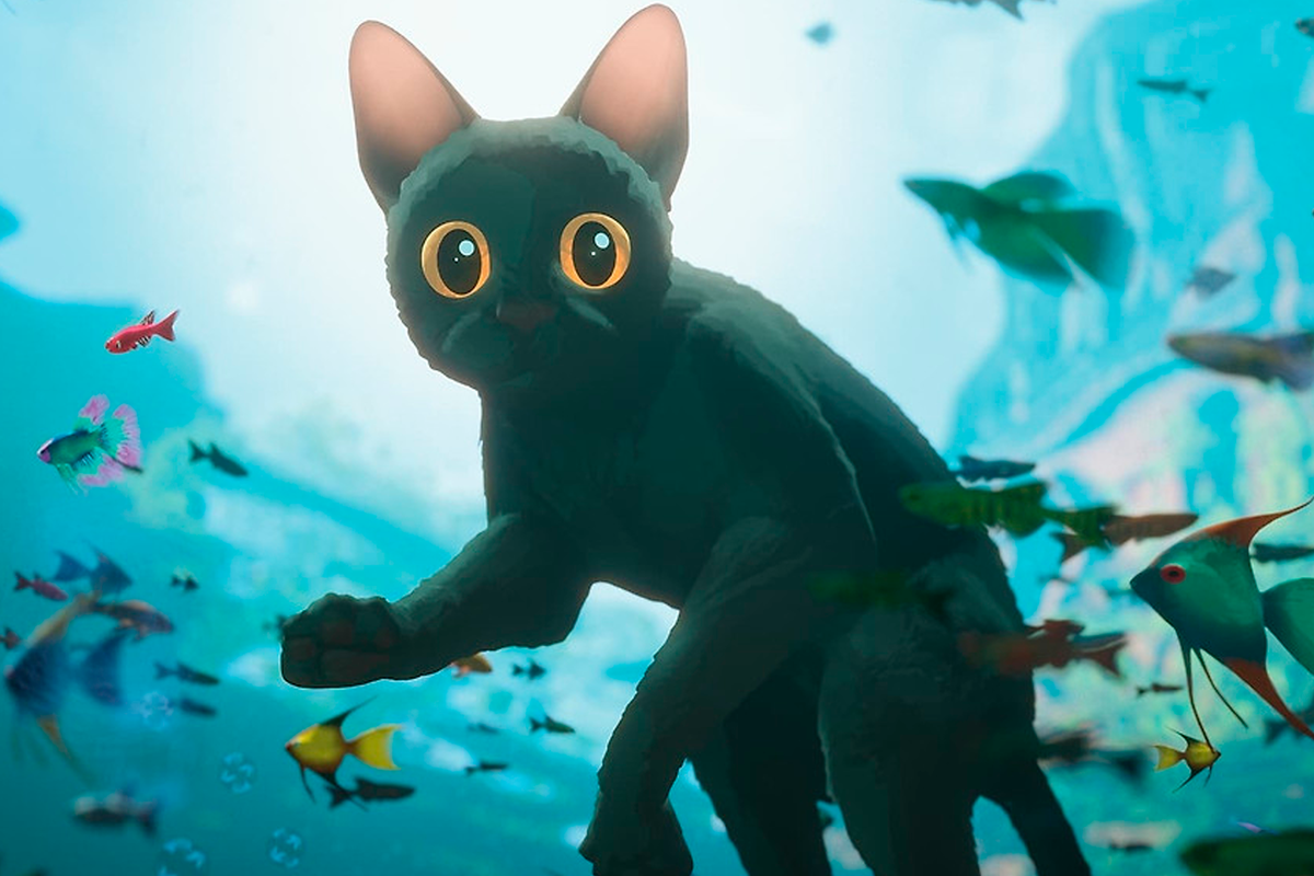 1200_800.png
