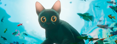 El gatito que luchó contra Pixar. Flow demuestra que no necesitas un presupuesto desorbitado para hacer una gran película y ya huele a Oscar  