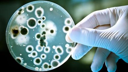 Nanotecnología para combatir el cáncer