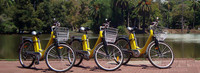 Descubre Buenos Aires en bici