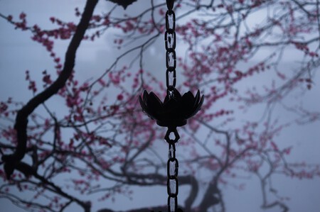 Kuangkuang Xia Ey7j Yx0wkk Unsplash