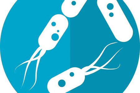 Los edulcorantes artificiales pueden hacer que las bacterias intestinales se enfermen e invadan la pared intestinal