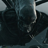 El survival-horror triple-A de Alien aún no anunciado estaría siendo desarrollado por los creadores de No More Heroes