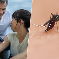 Hay un dispositivo que es perfecto para las picaduras de mosquitos. Es barato y te lo puedes llevar a donde quieras 