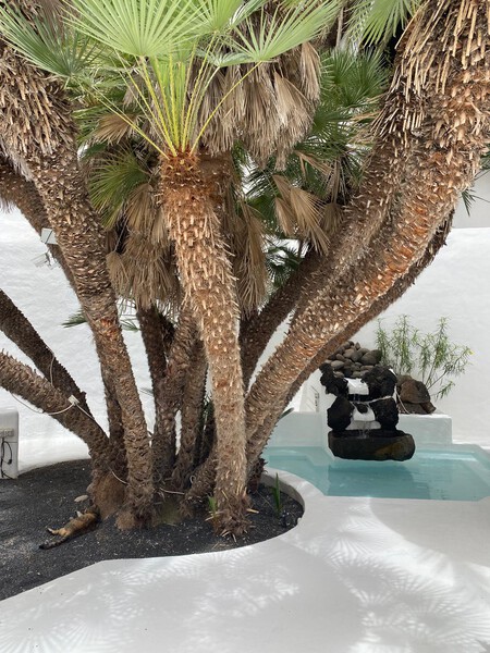 Lagomar Lanzarote