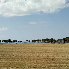 Foto 8 de 19 de la galería fotos-con-el-moto-e4 en Xataka Android