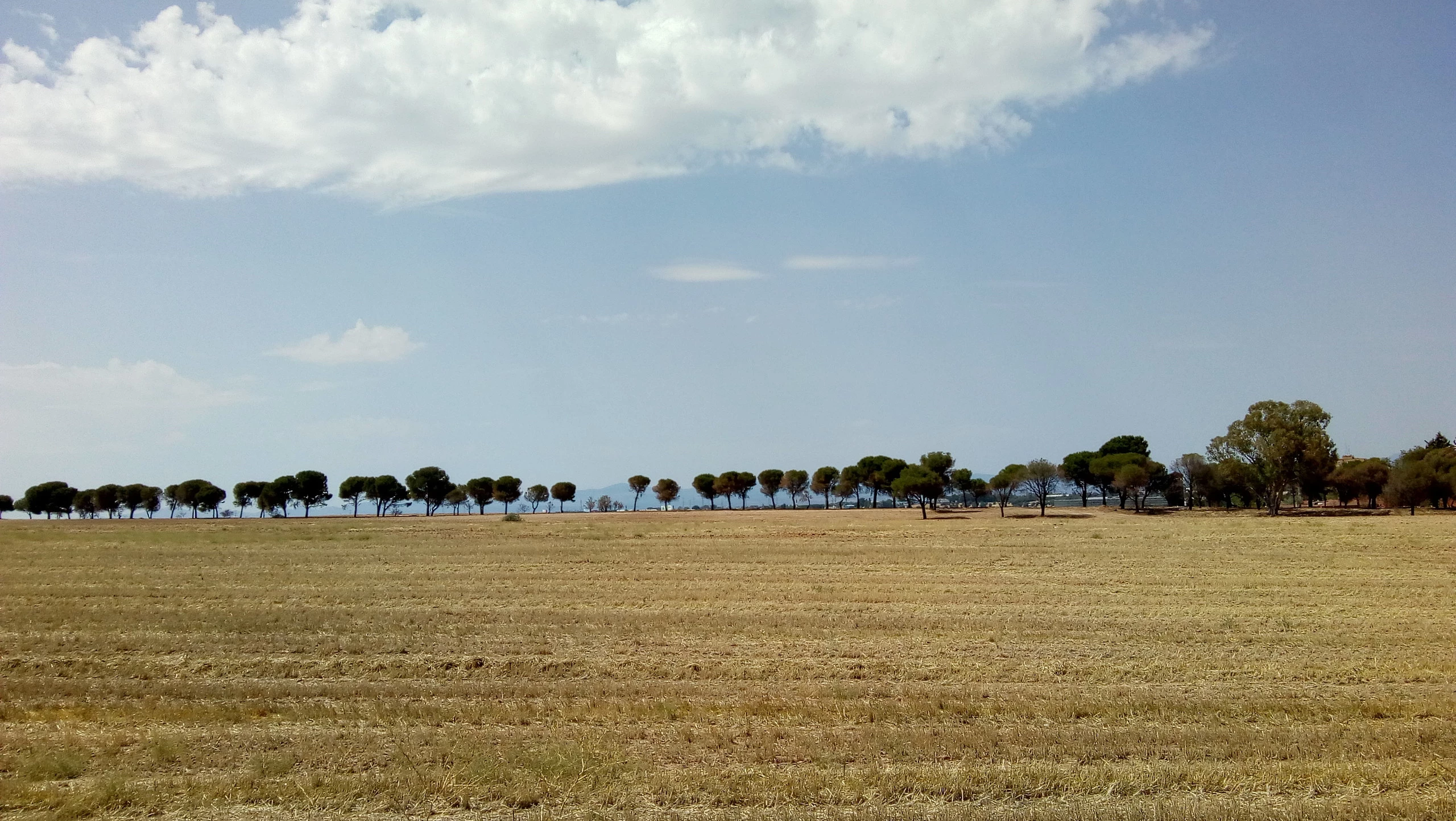 Foto de Fotos con el Moto E4 (8/19)