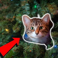 Cómo evitar que tu gato se convierta en el Grinch: 5 formas de impedir que tire tu árbol de Navidad