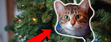Tu gato contra el árbol de Navidad: 5 trucos infalibles para ganar la batalla este diciembre