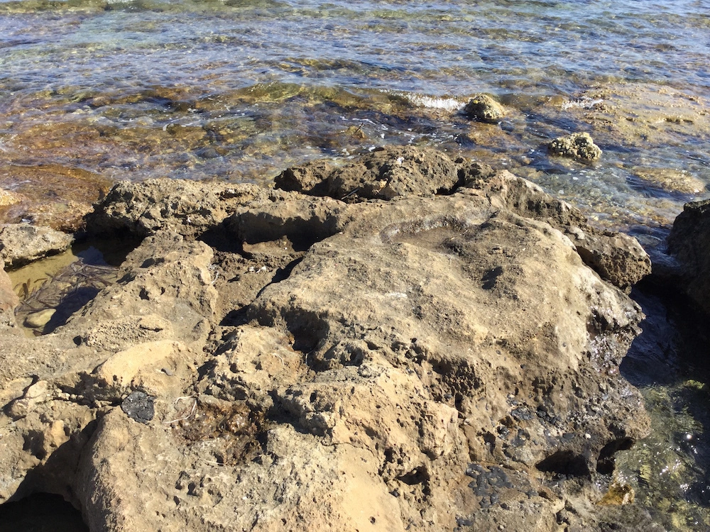 Foto de Fotos tomadas con el iPad Air 2 (11/26)