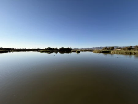 Img 0099