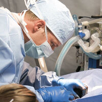 Estas son las prestaciones que mejorarán los autónomos al cotizar por ingresos reales 