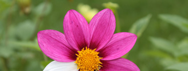 Hablemos de ellas: once preguntas sobre las enfermedades raras