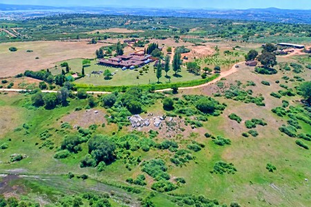 Finca De Alejandro Sanz