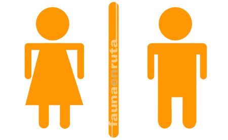 Diferencias entre sexos